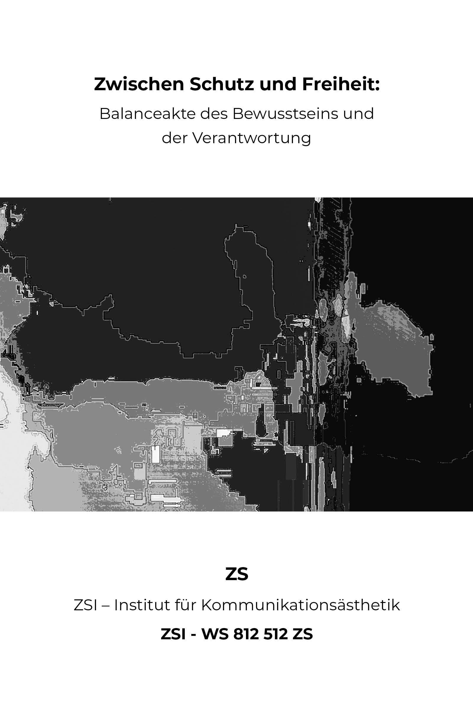Buchcover ZSI Buchfeld